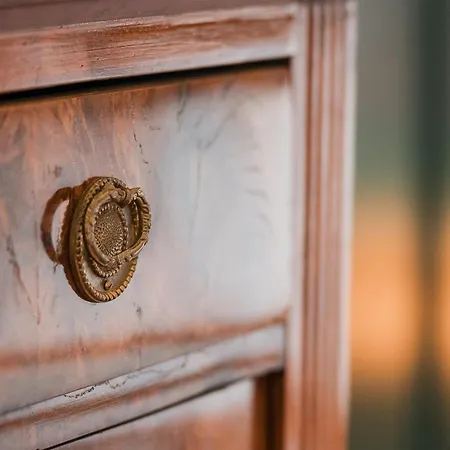 Altes Von 1756 - Straussengut * באד אאוסי