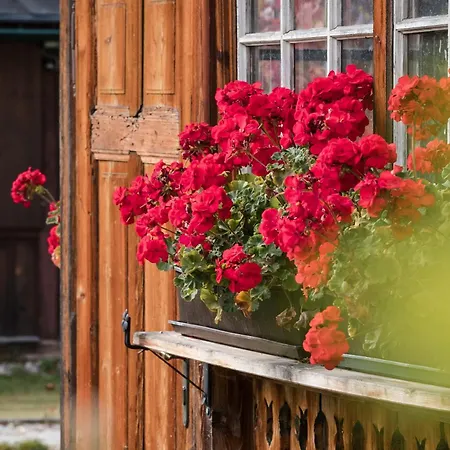 Altes Von 1756 - Straussengut דירה באד אאוסי