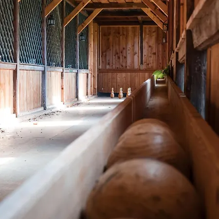 Altes Von 1756 - Straussengut באד אאוסי