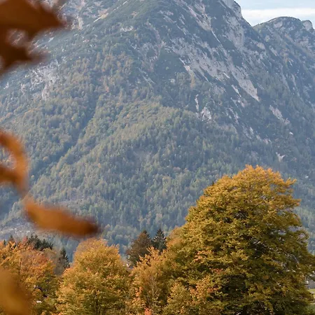 Altes Von 1756 - Straussengut