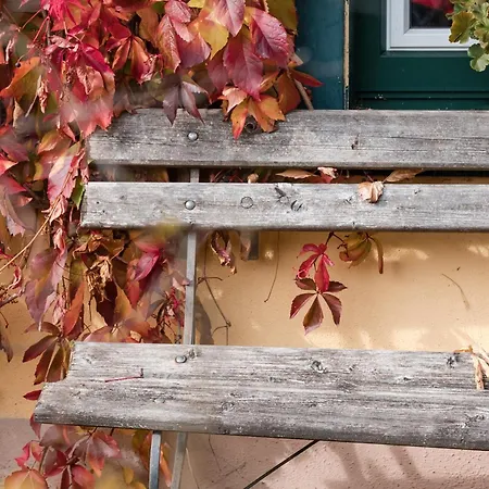 Altes Von 1756 - Straussengut