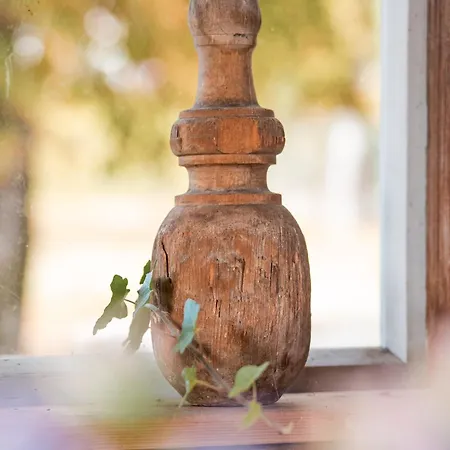 דירה Altes Von 1756 - Straussengut באד אאוסי