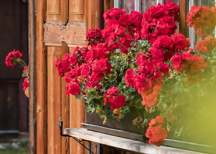 Altes Von 1756 - Straussengut Apartmán Bad Aussee