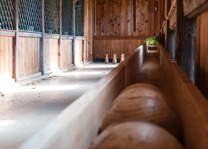 Altes Von 1756 - Straussengut Bad Aussee