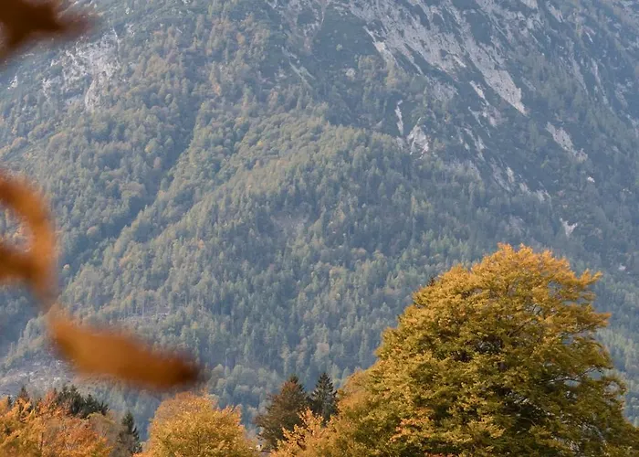 Altes Von 1756 - Straussengut