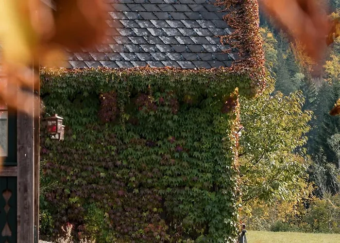 Altes Von 1756 - Straussengut *